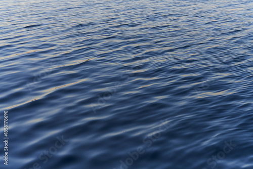 Memories Embraced by the Lull.