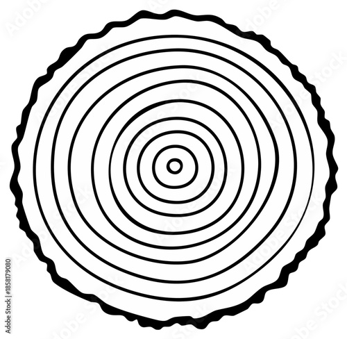 Tree Ring Cross Section Line Art Illustration with Growth Rings