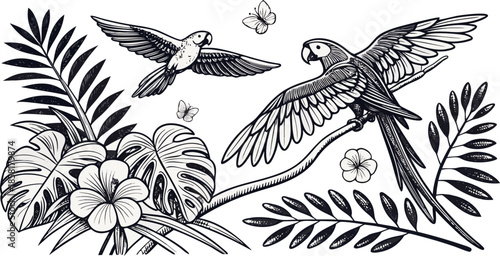 A detailed illustration in a black and white, engraved style depicts several elements of a tropical scene. The main subjects are three parrots; one is perched on a branch, in a three-quarter profile f