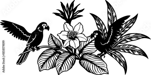 A detailed illustration in a black and white, engraved style depicts several elements of a tropical scene. The main subjects are three parrots; one is perched on a branch, in a three-quarter profile f