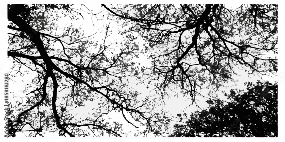 Obraz premium Silhouetted branches against a bright overcast sky creating a stark contrast