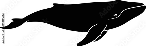 Elegant Black Silhouette of a Humpback Whale Swimming Gracefully Through the Ocean Depths sea animal