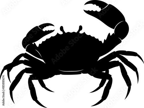 Silhouette of a Crab with Raised Claw in Black and White Vector Graphic for Seafood Ocean and Marine Themes sea animal