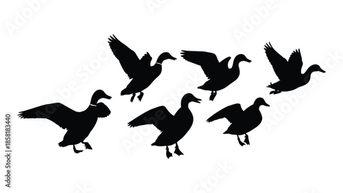 A silhouette of a flock of ducks in flight against a white background