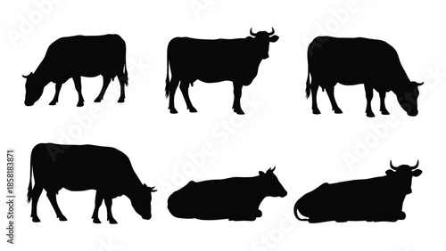 Silhouettes of grazing cows and resting cattle in a black and white style