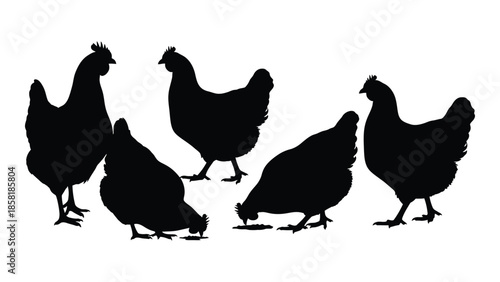 A silhouette depiction of a small flock of chickens foraging together