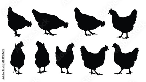 Silhouettes of chickens in varying poses a simple black and white image