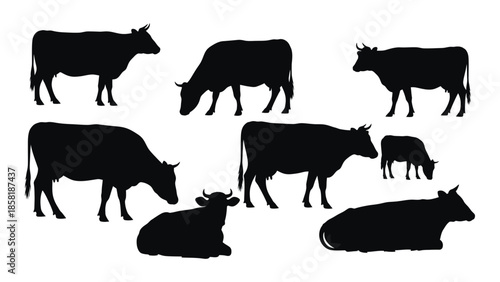 Black silhouettes of cows in various poses on a white background