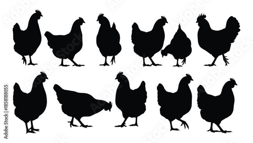 A collection of black silhouette chickens in various poses and sizes