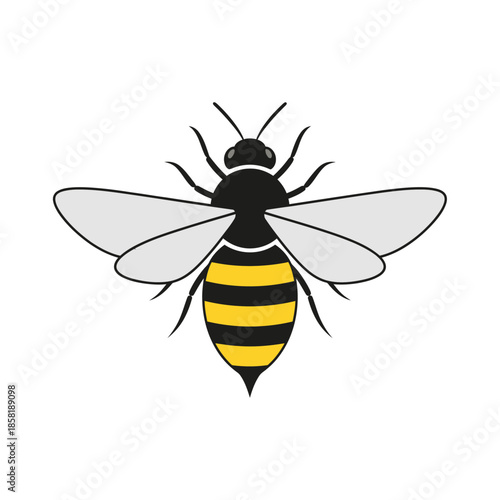 Black and yellow striped flying insect.