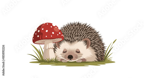 Small hedgehog sleeping peacefully on a patch of grass next to a large red and white spotted mushroom in a forest setting.