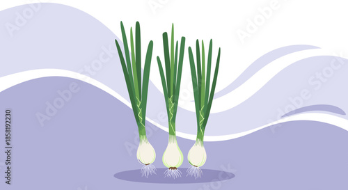 Three fresh green onions with white bulbs and long green stalks arranged against a wavy purple and blue background.