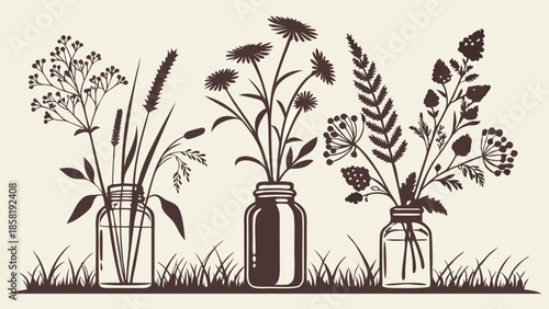 Rustic Wild Herbs and Grasses in Glass Jars Vector Silhouette Botanical Illustration for Natural Product Branding and Web Design