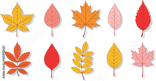 Autumn leaves illustration set with colorful fall foliage in flat and hand drawn style for seasonal design, decoration, nature themes, and creative projects