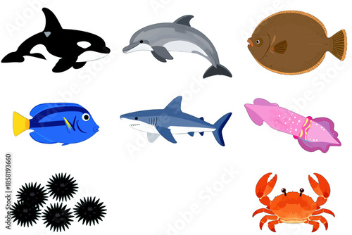 Colorful Ocean Animals Vector Illustration
