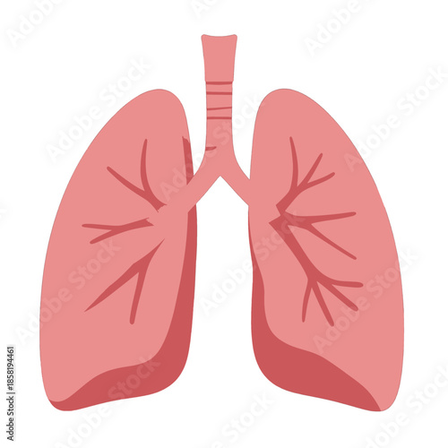 Human Lungs Anatomical Illustration in Flat Design Style
