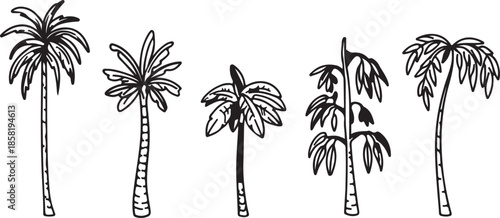 palm tree silhouette
