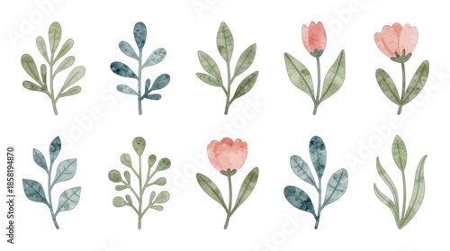 Watercolor Botanical Illustrations with Pink Flowers and Green Leaves