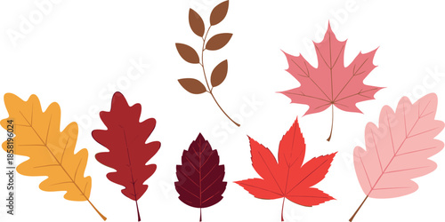 Autumn leaves illustration set with colorful fall foliage in flat minimal style for seasonal design, nature themes, harvest decorations, and creative projects