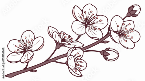 Minimalist Sakura Branch Line Art Vector Illustration Elegant Spring Floral Design for Wedding Invitations Stationery and Asian Branding Projects