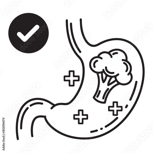 Stomach icon with broccoli and checkmark symbol organ digestive