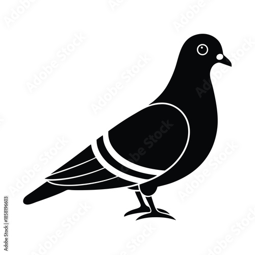 pigeon bird icon