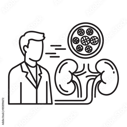 Doctor and kidney anatomy with blood cells illustration person medical