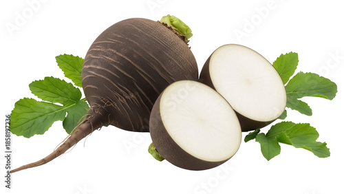 Obraz na plátně Black radish with leaves isolated PNG, whole and halved root vegetable on transp