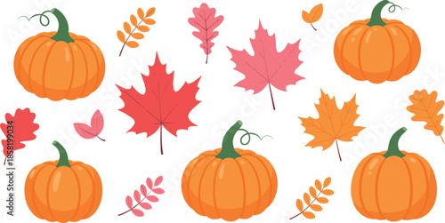 Autumn pumpkin and fall leaves illustration set with colorful harvest elements in flat style for thanksgiving designs, seasonal decorations, patterns, and nature themes