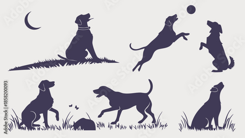 Hunting Dog Silhouettes Vector Set Playing Running and Training Outdoors at Night Graphic Elements for Pet Care and Logo Design