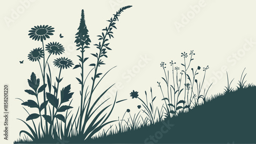Vintage Wildflower Meadow Silhouette Border Graphic Botanical Illustration for Organic Product Packaging and Natural Web Design