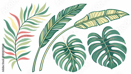 Exotic Tropical Leaves Hand Drawn Set Vibrant Botanical Foliage Illustration for Summer Design Web Backgrounds and Print
