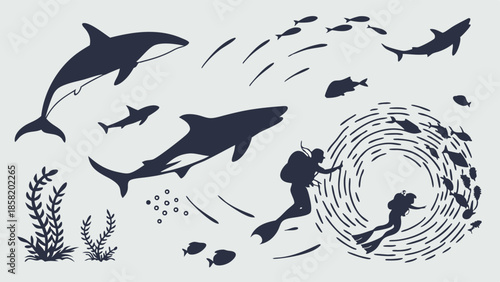 Ocean Adventure Thrill Divers Encounter Sharks and Whales Underwater Ecosystem Exploration for Tourism and Nature Websites