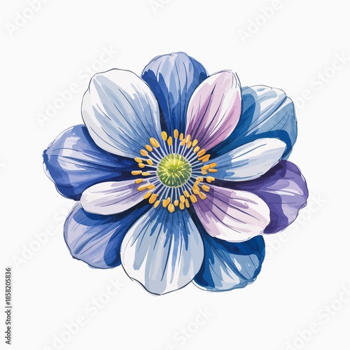 A stunning illustration of a blue and white flower, showcasing intricate petal details and vibrant colors, perfect for nature lovers and floral enthusiasts alike.