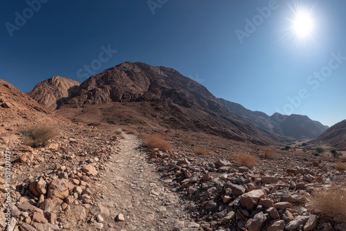 Rocky Mountain Landscape Under a Bright Sun Featuring Varied Terrain and Desert Vegetation in an Arid Climate Under a Clear Blue Sky With Warm Lighting