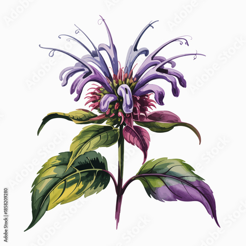 An exquisite floral illustration featuring a vibrant flower with unique shapes and striking colors, showcasing nature's beauty and artistic flair in a visually stunning manner.