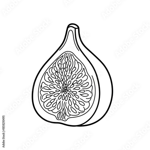 Fresh ripe fig fruit isolated on white background as a healthy nature food object for diet decoration