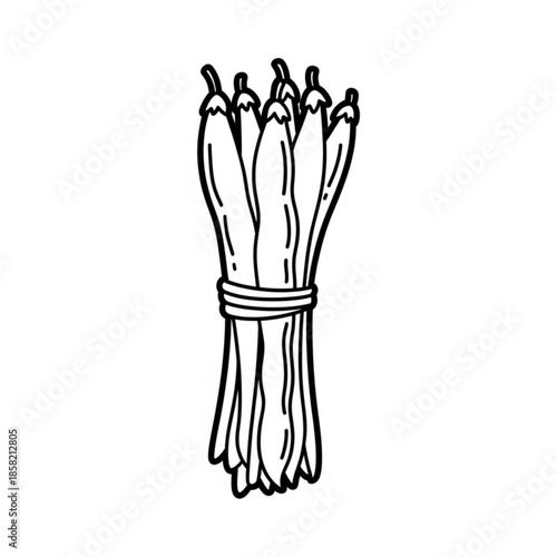 An abstract medical x-ray depicts a bunch of fresh green asparagus and spring onions arranged like the delicate anatomy of human hand bones and skeletal tree plants in nature