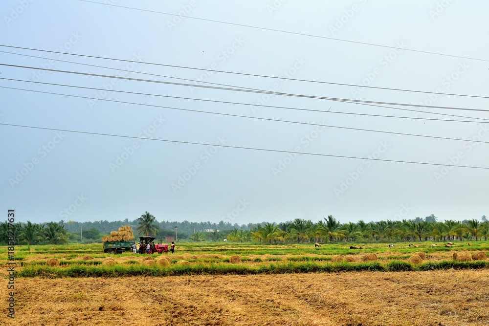 Fototapeta premium Wide view of farmland after harvest with straw bales, power lines, and farming equipment in a rural countryside setting in Theni, Tamilnadu 