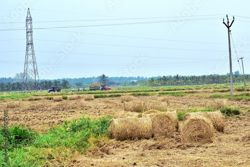 Slika na platnu Harvested paddy field with hay bales and a tractor in Theni, Tamil Nadu, India,