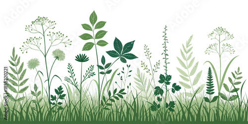 Variety of lush green plants and flowers in a natural setting