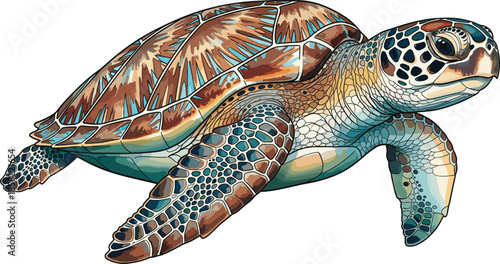 Detailed sea turtle vector illustration with realistic shell texture isolated on white background for marine wildlife design