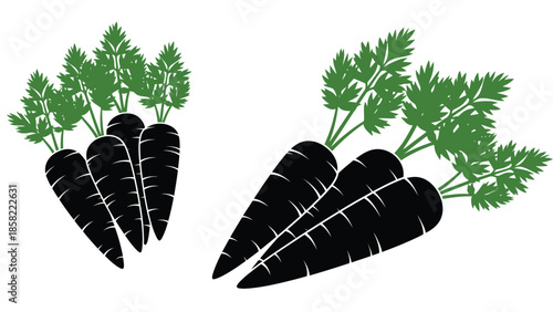 Two bunches of black carrots with green tops a simple botanical illustration
