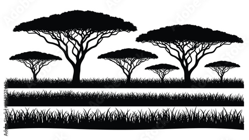 Silhouetted african savanna trees against a bright white horizon