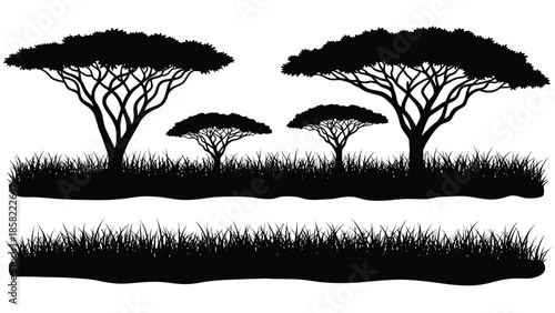 Silhouetted acacia trees and grassland represent a classic african savanna landscape