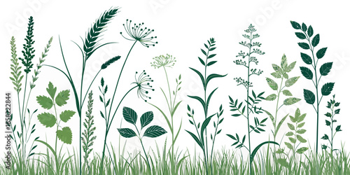 Variety of wildflowers and grasses in a natural setting