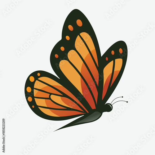  a beautiful orange and black monarch butterfly isolated on white background with detailed wings