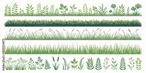 Variety of lush green grass and leafy plants for landscaping
