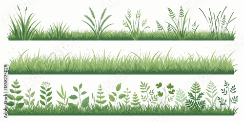 Variety of lush green grass and leafy plants on white background