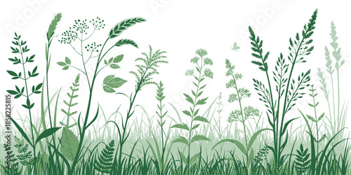 Lush green grass and wildflowers in a serene natural setting